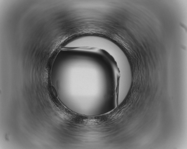 X0000095900448200802081144