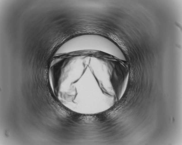 X0000095900449200802081144