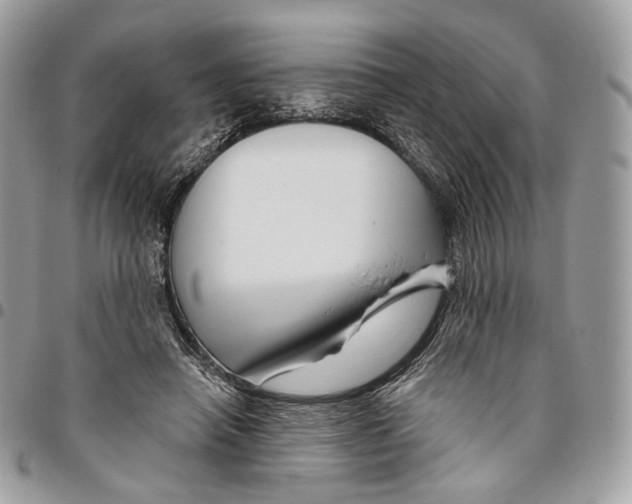 X0000095900450200802081144