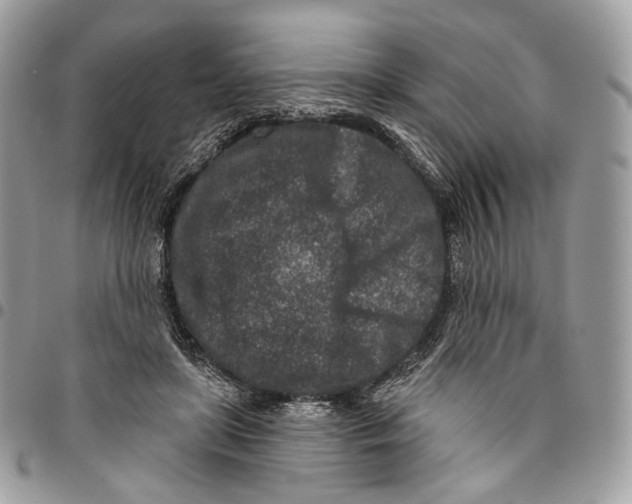 X0000095900451200802081144