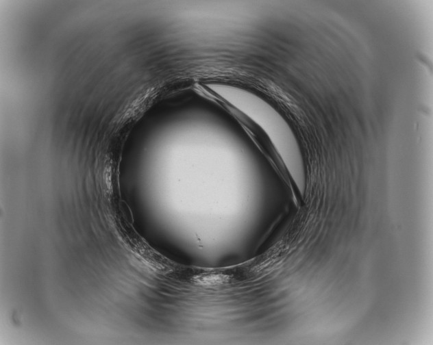 X0000095900452200802081144