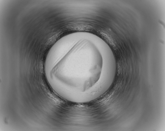 X0000095900453200802081144