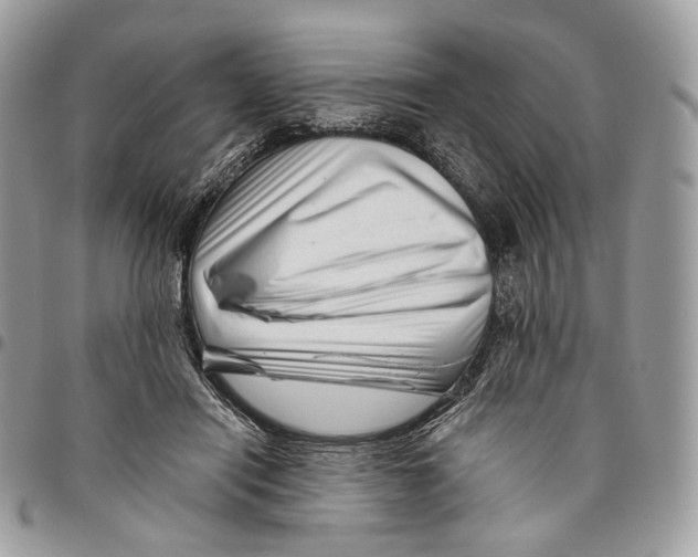 X0000095900454200802081144