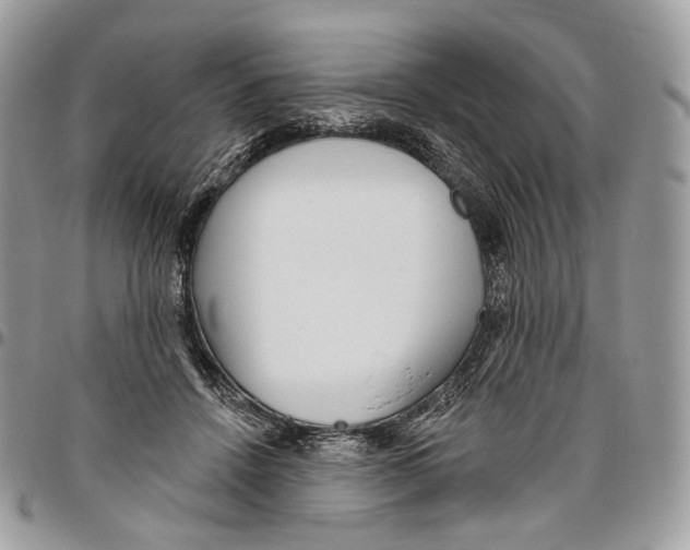 X0000095900456200802081144