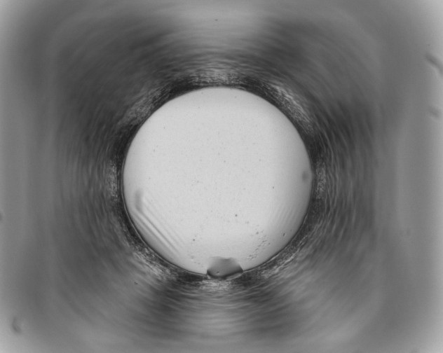 X0000095900457200802081144