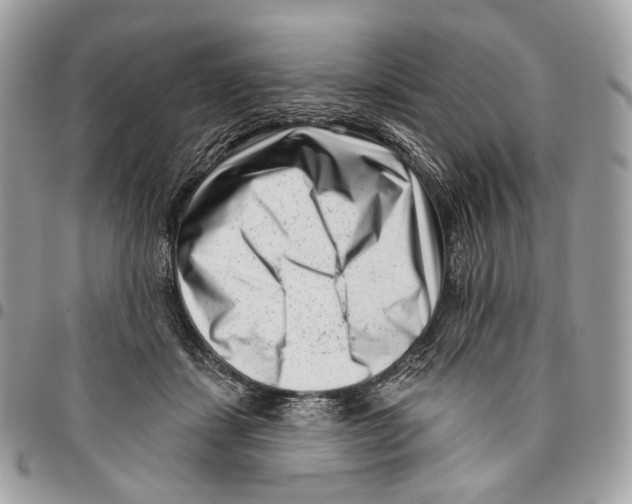 X0000095900459200802081144