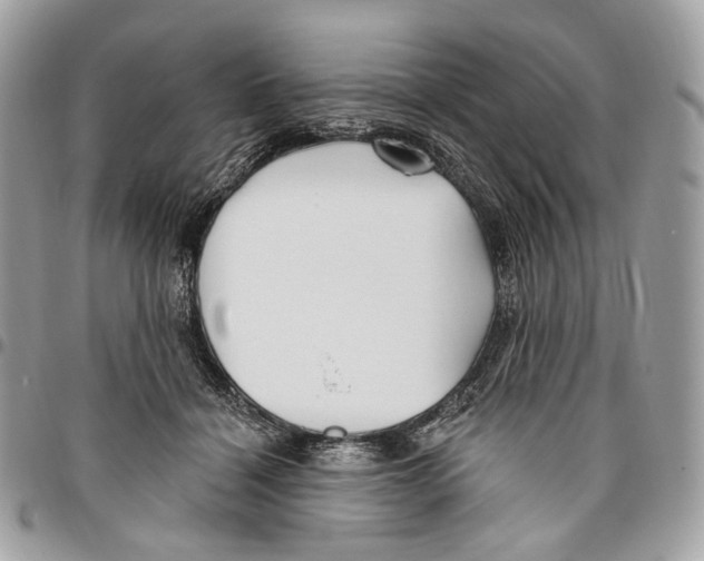 X0000095900460200802081144