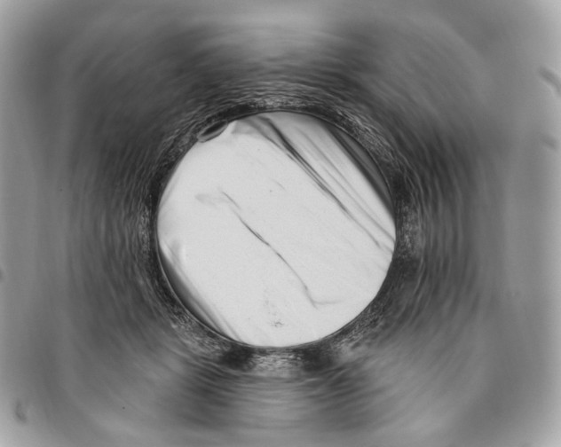 X0000095900461200802081144