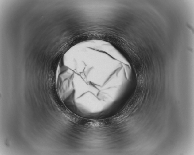 X0000095900464200802081144