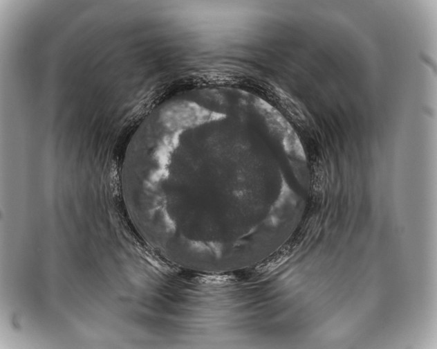 X0000095900465200802081144