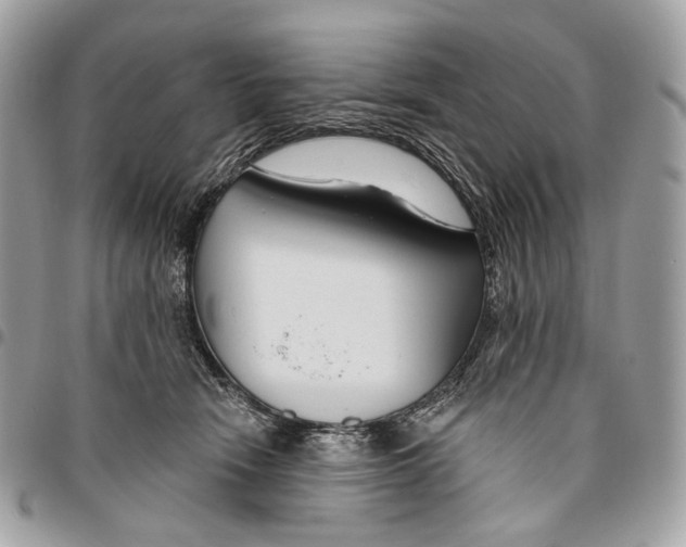 X0000095900466200802081144