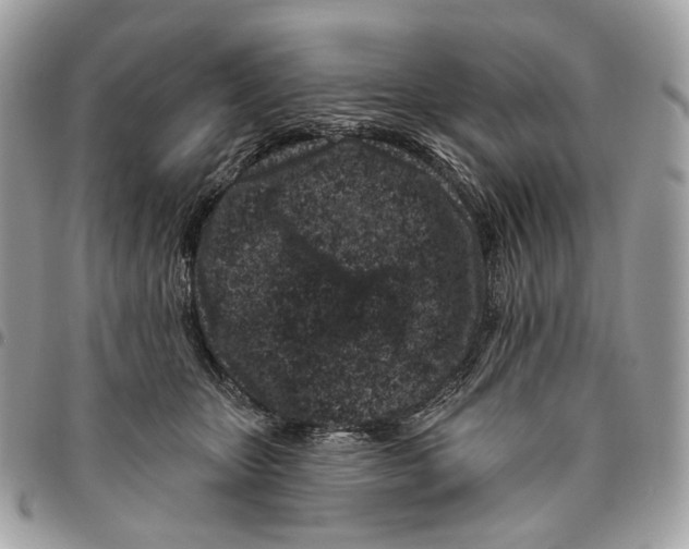 X0000095900467200802081144