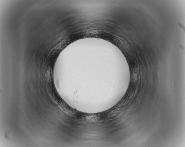 X0000095900468200802081144