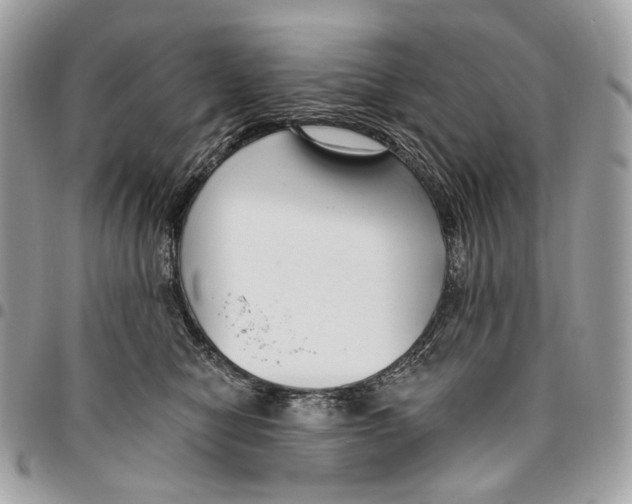 X0000095900470200802081144