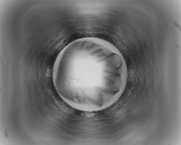 X0000095900472200802081144