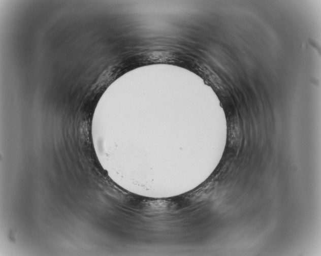 X0000095900473200802081144