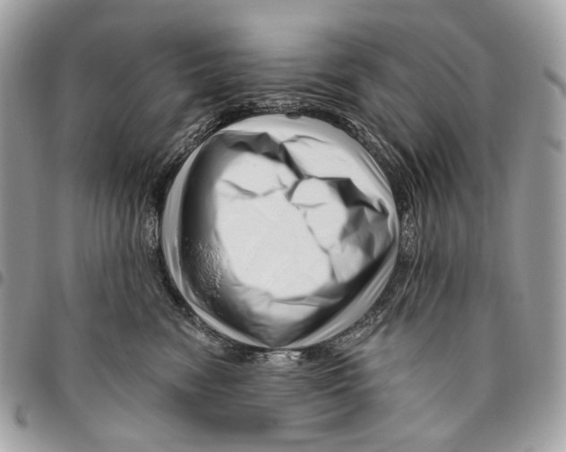 X0000095900474200802081144