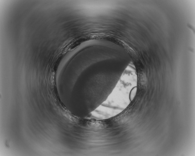 X0000095900475200802081144