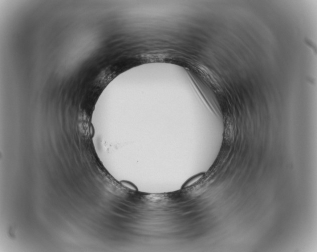 X0000095900477200802081144