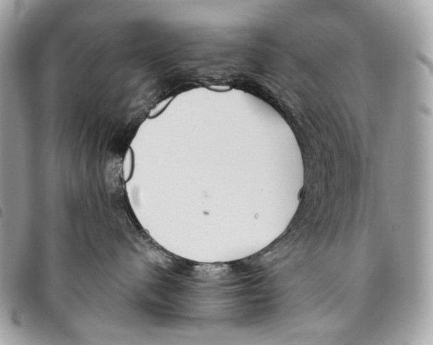 X0000095900480200802081144