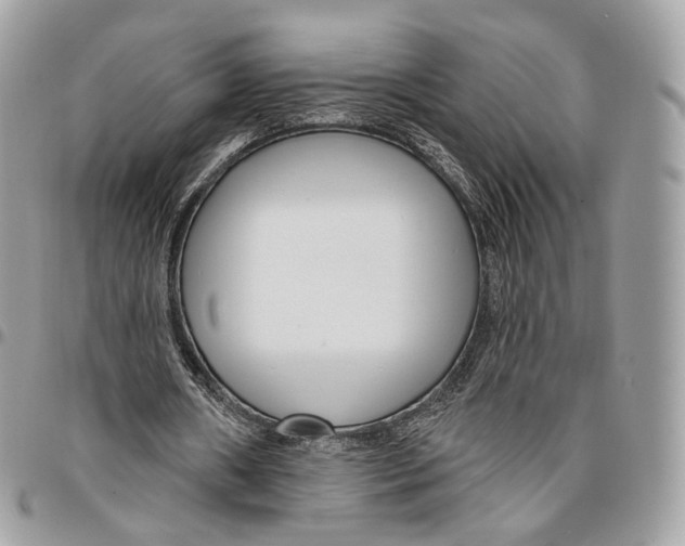 X0000095900482200802081143