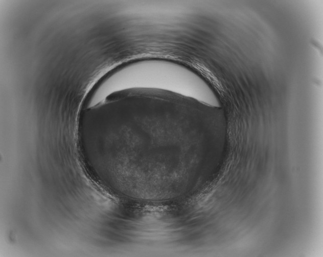 X0000095900484200802081143