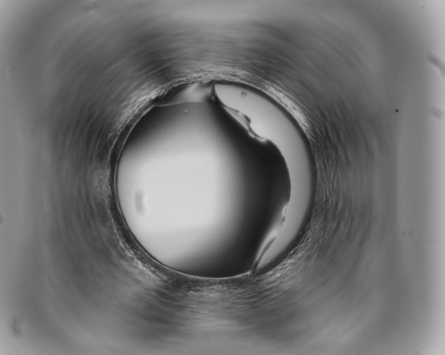 X0000095900485200802081143