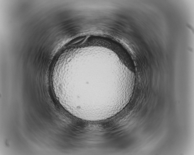 X0000095900487200802081143