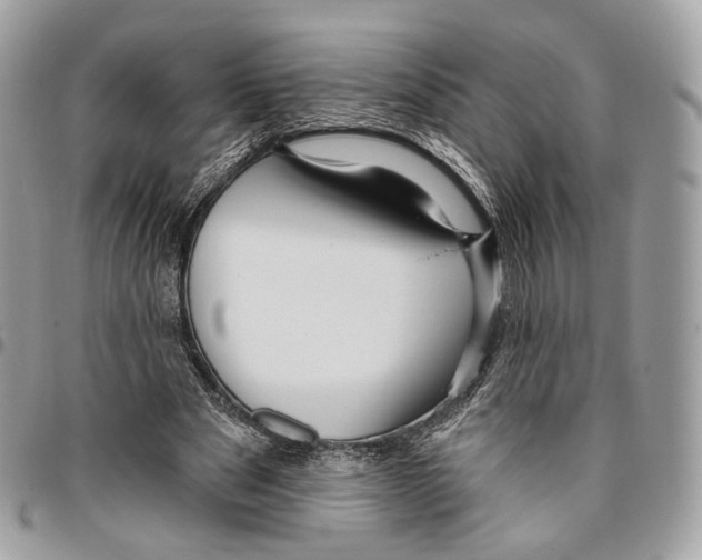 X0000095900489200802081143