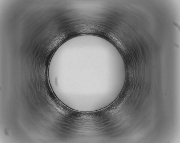 X0000095900490200802081143