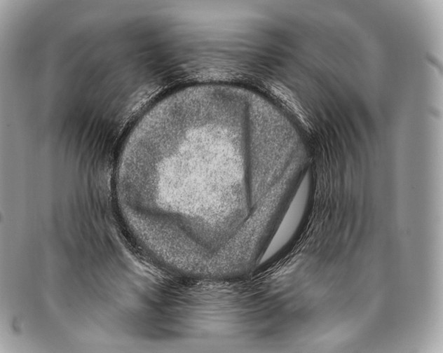 X0000095900491200802081143