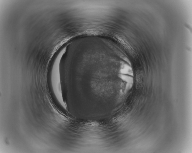 X0000095900492200802081143