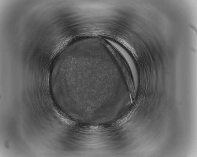 X0000095900493200802081143