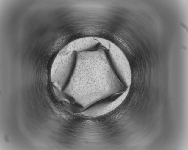 X0000095900494200802081143