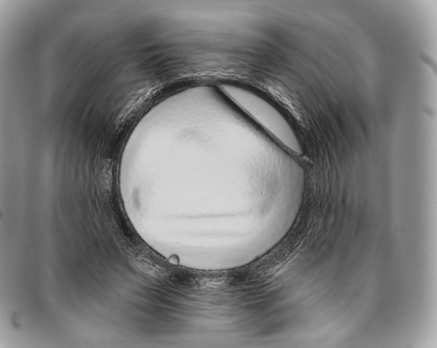 X0000095900495200802081143