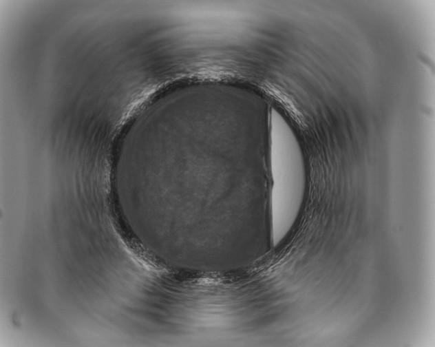 X0000095900496200802081143