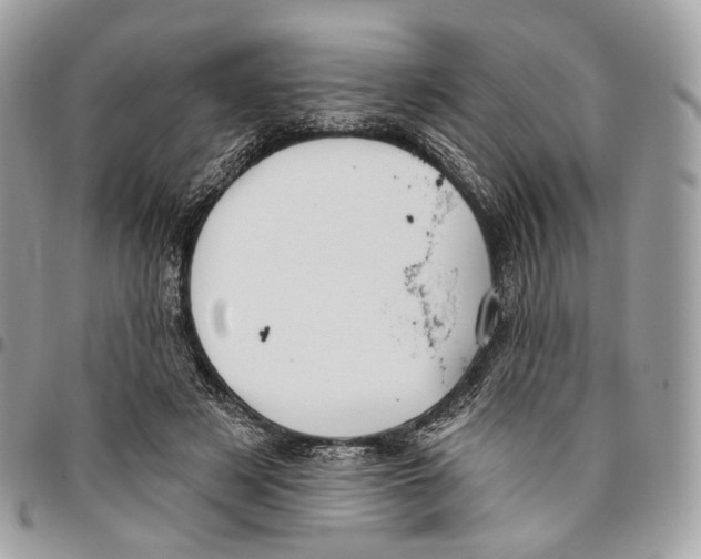 X0000095900497200802081143