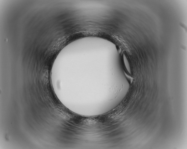 X0000095900498200802081143