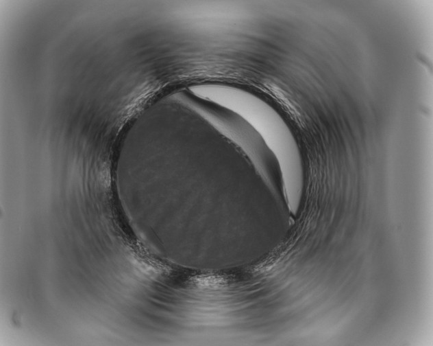 X0000095900500200802081143