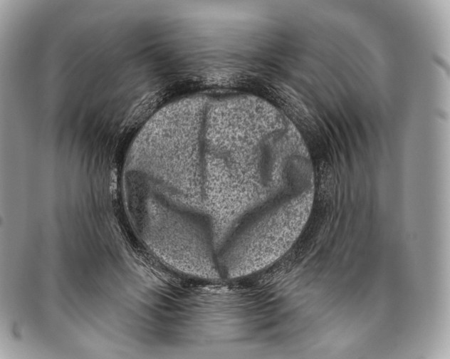 X0000095900502200802081143