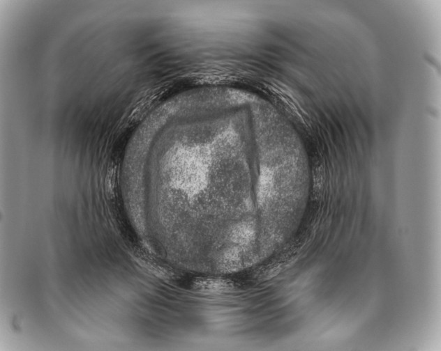 X0000095900503200802081143