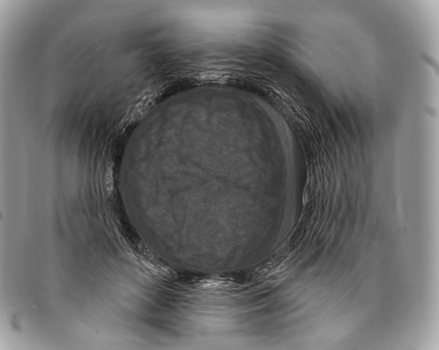 X0000095900504200802081143