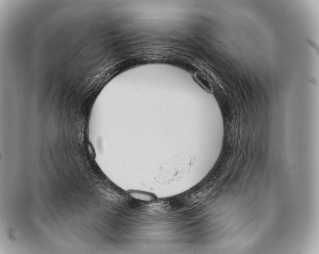 X0000095900505200802081143