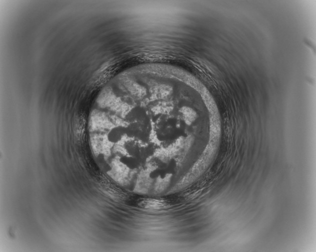 X0000095900507200802081143