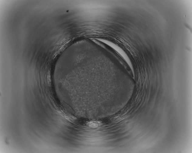 X0000095900508200802081143