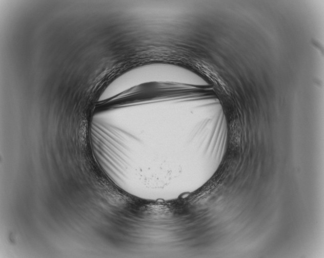 X0000095900509200802081143