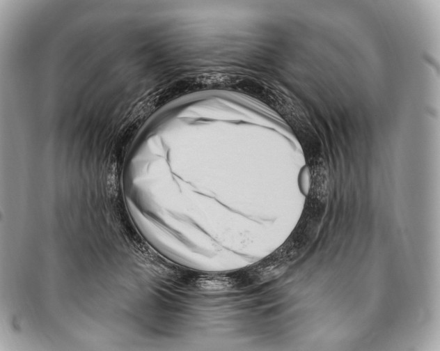 X0000095900510200802081143