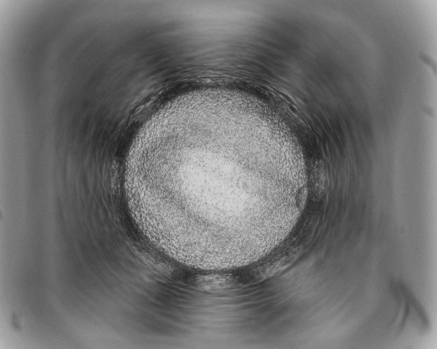 X0000095900511200802081143