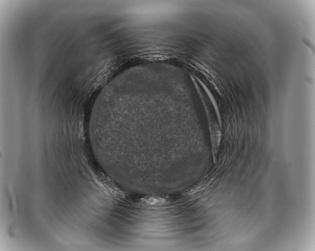 X0000095900512200802081143