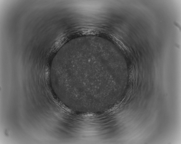 X0000095900513200802081143